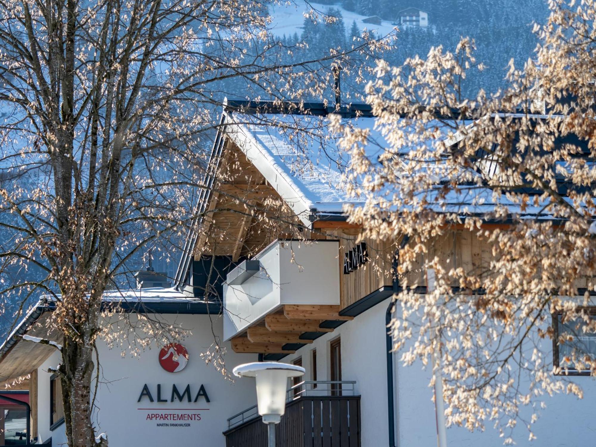 Appartements Alma Mayrhofen Luaran gambar