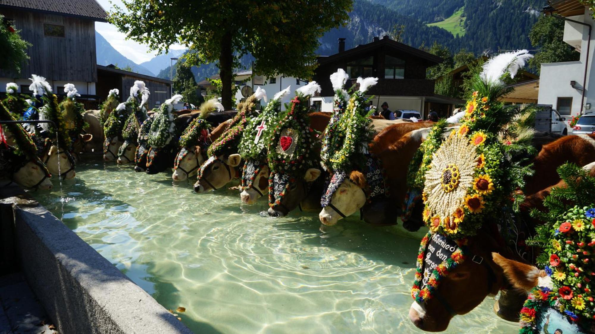 Appartements Alma Mayrhofen Luaran gambar